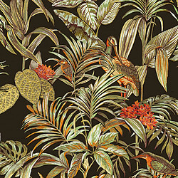 DUTCH WALLCOVERINGS Papier peint Bird-of-Paradise Noir