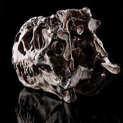 Acheter Universal Rex Skull Dinosaur Resin Artisanal Gift Home Decoration Replica Aquarium Statue Tyranno Dragon Bone Skeleton Aquarium Decoration | Décorations