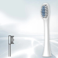 Acheter Têtes De Brosse à Dents Soniques Universelles De Qualité Supérieure Pour Brosses à Dents électriques X-3 Blanches