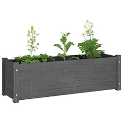 Acheter vidaXL Jardinières 2 pcs Gris 100x31x31 cm Bois de pin massif