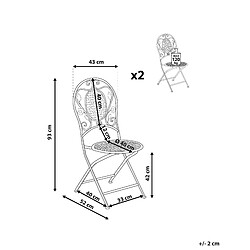 Avis Beliani Chaise de jardin BIVIO Métal Vert clair