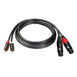 Câble Double XLR vers RCA