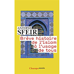 Brève histoire de l'islam à l'usage de tous - Occasion