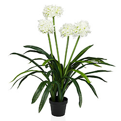 Plante artificielle AGAPANTHUS vert - blanc hjh OFFICE