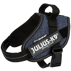 Julius K9 IDC Harnais pour chiens Denim Taille Mini 14835