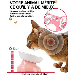 Acheter YYHY Bol pour Chat à Alimentation Lente en céramique de 118ml,Bol pour Chat surélevé,Conception inclinée,Mangeoire Lente pour Chiens et Chats,Rose et Blanc