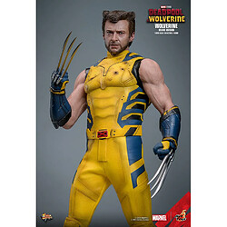 Acheter Hot Toys MMS754 - Marvel Comics - Deadpool & Wolverine - Wolverine Deluxe Version