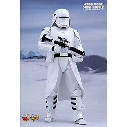 Acheter Hot Toys MMS321 - Star Wars : The Force Awakens - First Order Snowtrooper