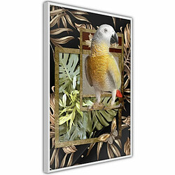 Paris Prix Affiche Murale Encadrée Composition with Gold Parrot 20 x 30 cm Blanc