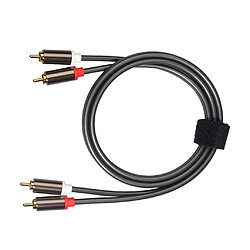 Câble audio 2RCA à 2RCA mâle à mâle pour amplificateur 1m DVD Home Theater pas cher