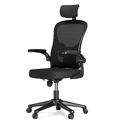 BIGZZIA Chaise de Bureau - Naspaluro - Ergonomique Siège - Fauteuil avec 2D Accoudoirs, Hauteur Appui-tête Soutien Lombaire Dossier Règalable