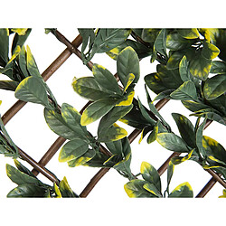 Treillis extensible en osier avec feuillage PE Troène de Californie 180 x 90 cm - Nature