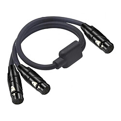 Avis Câble XLR Adaptateur Splitter Y femelle à femelle