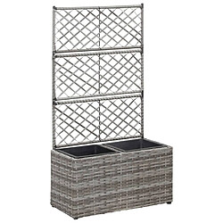 Maison Chic Jardinière,Lit surélevé - Bac à fleurs - pot de fleur en treillis 2 pots 58x30x107cm Résine tressée Gris -GKD61414