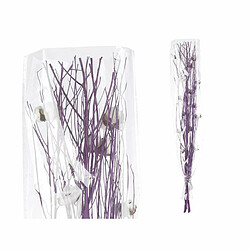 Avis Gift Decor Bouquets Coton Violet 10 x 100 x 18 cm (18 Unités)