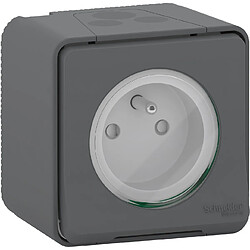 Acheter prise 2 p+t - gris - saillie - schneider electric mur35031