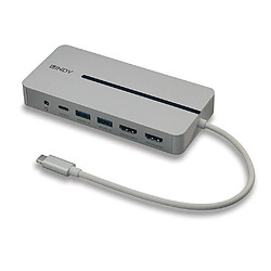 Acheter Lindy 43360 station d'accueil Avec fil USB 3.2 Gen 1 (3.1 Gen 1) Type-C Argent, Blanc