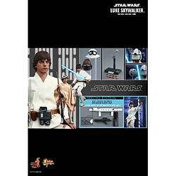 Hot Toys MMS297 - Star Wars 4 : A New Hope - Luke Skywalker Deluxe Version