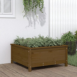 Maison Chic Jardinière,Bac à fleurs - pot de fleur marron miel 82,5x82,5x39 cm bois massif de pin -GKD63793