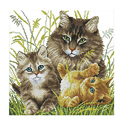 Kit de broderie au point de croix estampé bricolage - Motif de chat 11CT 43x43cm