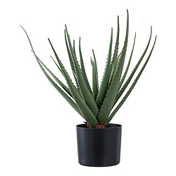 EPIKASA Plante Artificielle Aloe