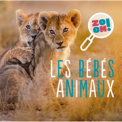 Les bébés animaux