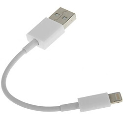 Avis Wewoo Câble blanc pour iPhone X / 8 et 8 Plus / 7 7 Plus / 6 6s 6 Plus 6s Plus / 5 5S SE 5C / iPad 13cm Lightning vers USB Données de synchronisation / de chargement,