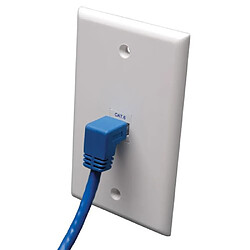 Avis Tripp Lite N204-005-BL-DN 1.52m Cat6 Bleu câble de réseau - Câbles de réseau (1,52 m, Cat6, RJ-45, RJ-45, Bleu)