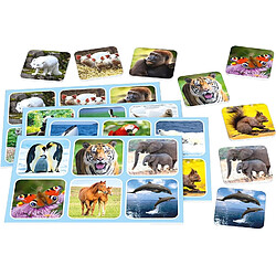 Acheter Zoo Lotto - SCHMIDT SPIELE