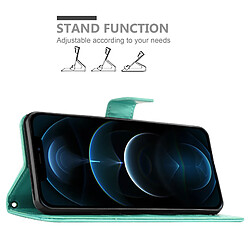 Acheter Cadorabo Coque iPhone 13 PRO MAX Etui en Turquoise