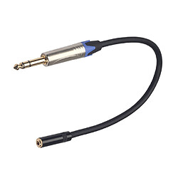 Avis Câble audio Cordon Ligne 6.35mm Mâle à 3.5mm Femelle Connexion TC203NF03