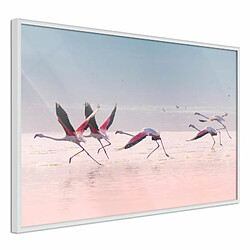 Paris Prix Affiche Murale Encadrée Flamingos Breaking into a Flight 30 x 20 cm Blanc