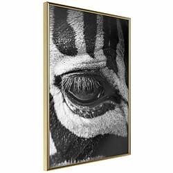 Paris Prix Affiche Murale Encadrée Zebra Is Watching You 20 x 30 cm Or