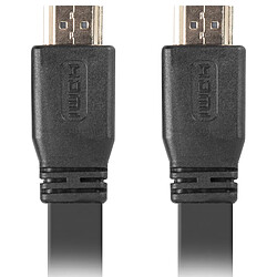 Câble vidéo plat HDMI-A mâle 2.0 4K Lanberg 3m