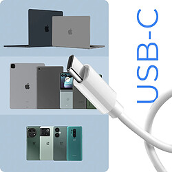 Acheter Câble USB-C vers USB-C Google Original, Charge et Synchronisation Blanc 1m