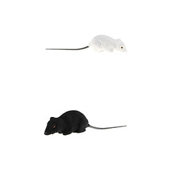 2x Simulation Figures Animaux Enseignement Modèle Décoration - Souris