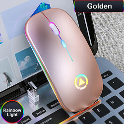 LED Rétroéclairé Silencieux 2.4GHz Souris Sans Fil Rechargeable Souris Optique Blanc pas cher