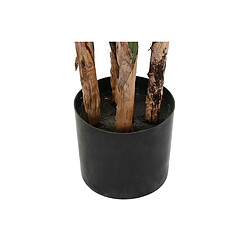 Avis Plante décorative DKD Home Decor (90 x 90 x 200 cm)