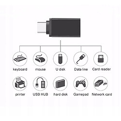 Avis GUPBOO Adaptateur USB OTG USB 3.0 - Type C - Argent,JL1868