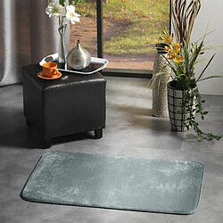 Avis Paris Prix Tapis Uni en Flanelle Flanou 50x80cm Gris