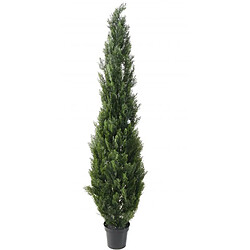 Pegane Plante artificielle haute gamme Spécial extérieur / Cyprès Artificiel Mini Vert - Dim : 210 x 50 cm