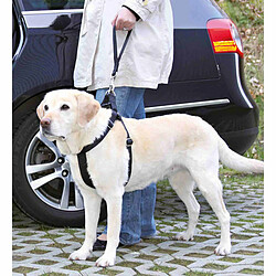 Acheter Laisse pour Chien Trixie Friends on Tour Noir 30 cm