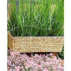 Beliani Jardinière rectangulaire beige sable 60 x 20 x 18 cm KAWALA