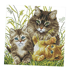 Acheter Kit de broderie au point de croix estampé bricolage - Motif de chat 14CT 34x34cm