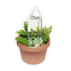 Kikkerland Cristal irrigant pour plantes