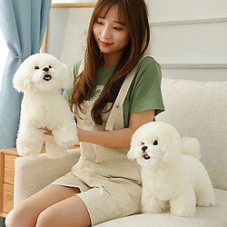 Universal Simulacro mignon bichon fritz peluche pas cher