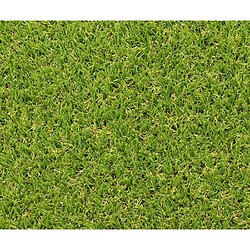 Avis Gazon synthétique - Exelgreen - Campus 25mm - 1m x 5m