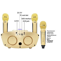 Wewoo Microphone double portatif sans fil Live familial KTV SD-306 2 en 1 avec haut-parleur Bluetooth (or) pas cher