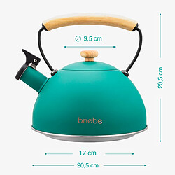 Bouilloire à Induction Théière Sifflet 2,3L Acier Inox., Poignée en Bois, , Vert, Briebe, Nordic pas cher