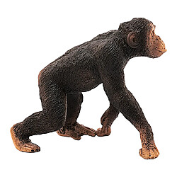 Acheter Schleich Figurine Chimpanzé Mâle Wildlife des Forêts Tropicales d'Afrique Marron